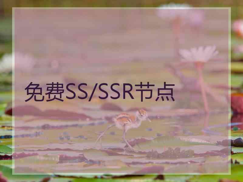 免费SS/SSR节点