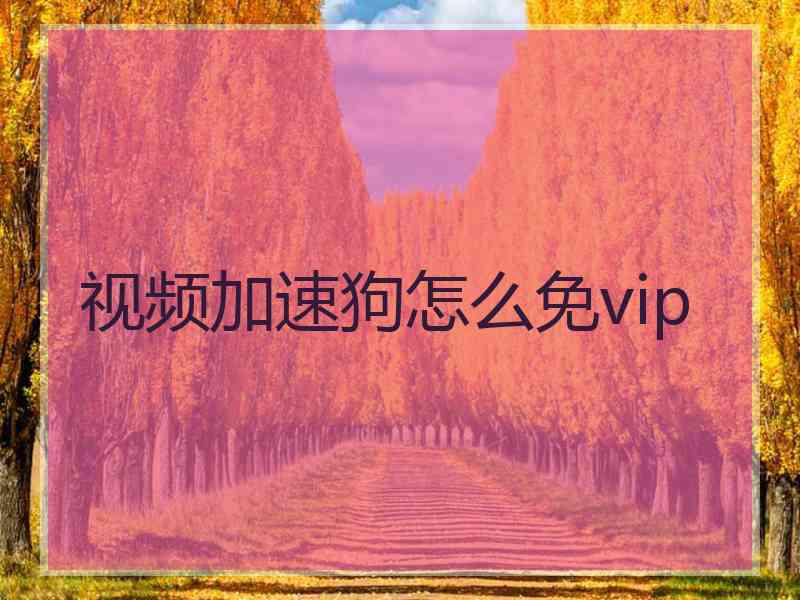 视频加速狗怎么免vip