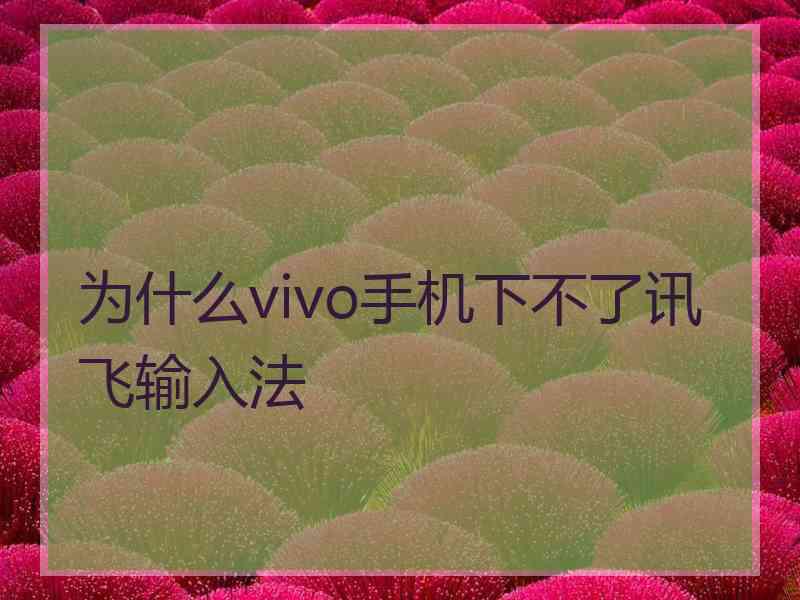 为什么vivo手机下不了讯飞输入法