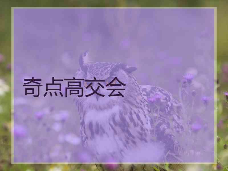 奇点高交会