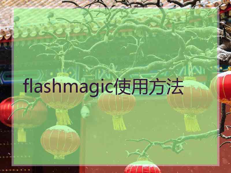 flashmagic使用方法