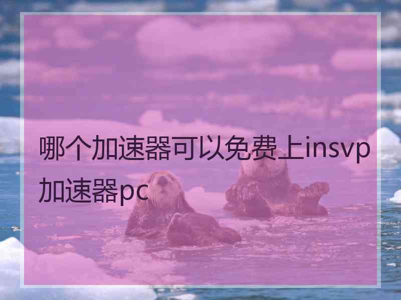 哪个加速器可以免费上insvp加速器pc