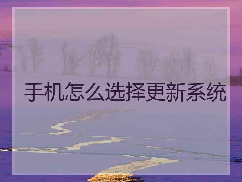 手机怎么选择更新系统