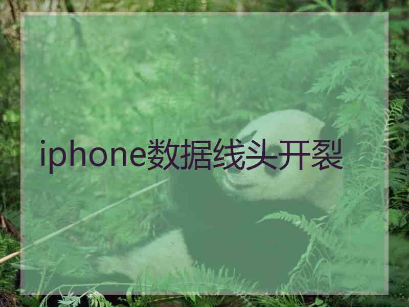 iphone数据线头开裂