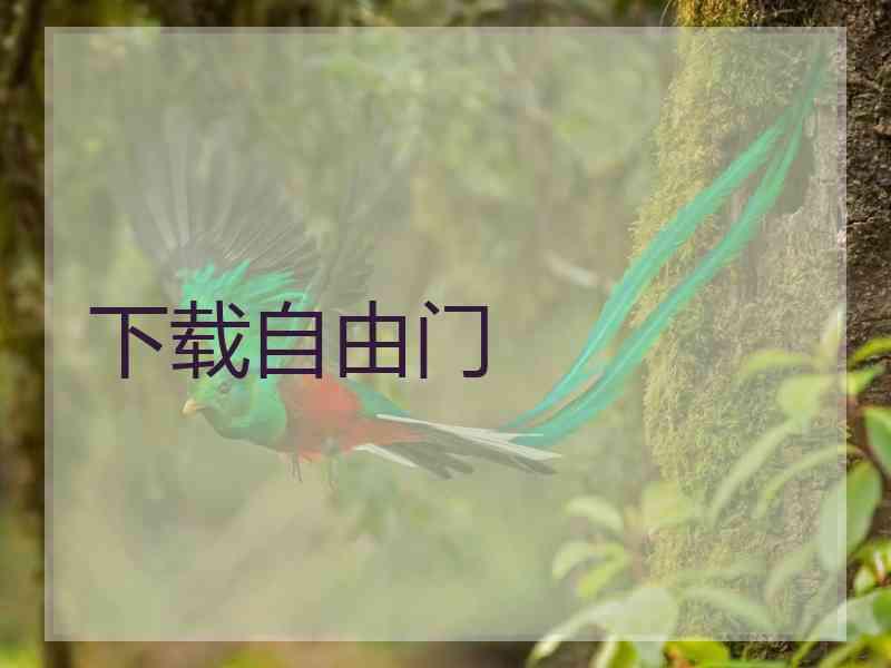 下载自由门