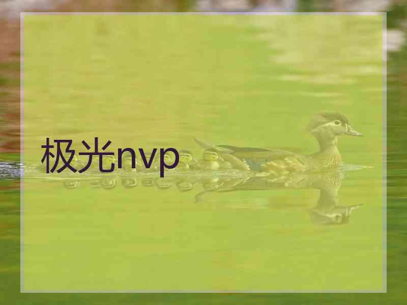 极光nvp