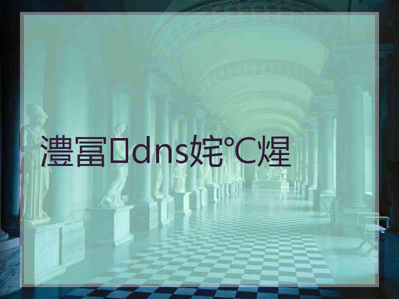 澧冨dns姹℃煋