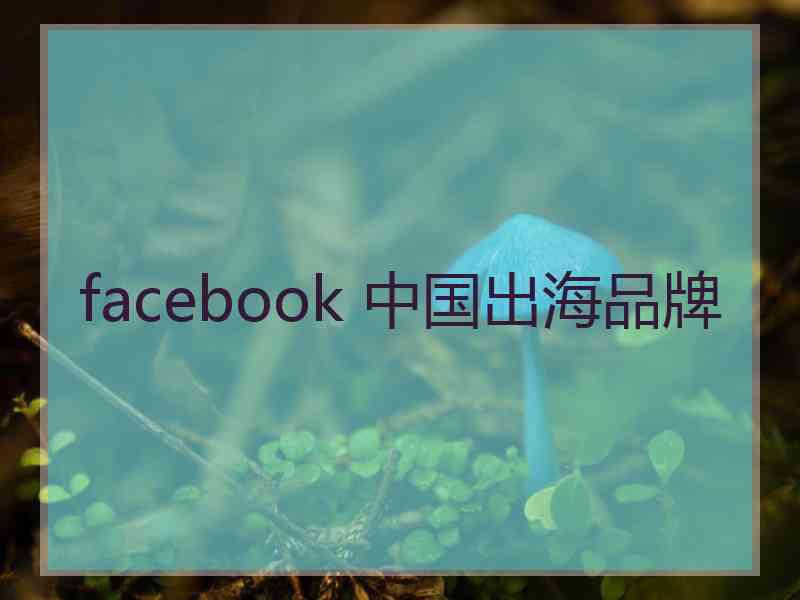 facebook 中国出海品牌