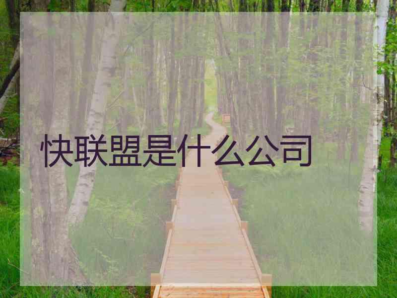 快联盟是什么公司