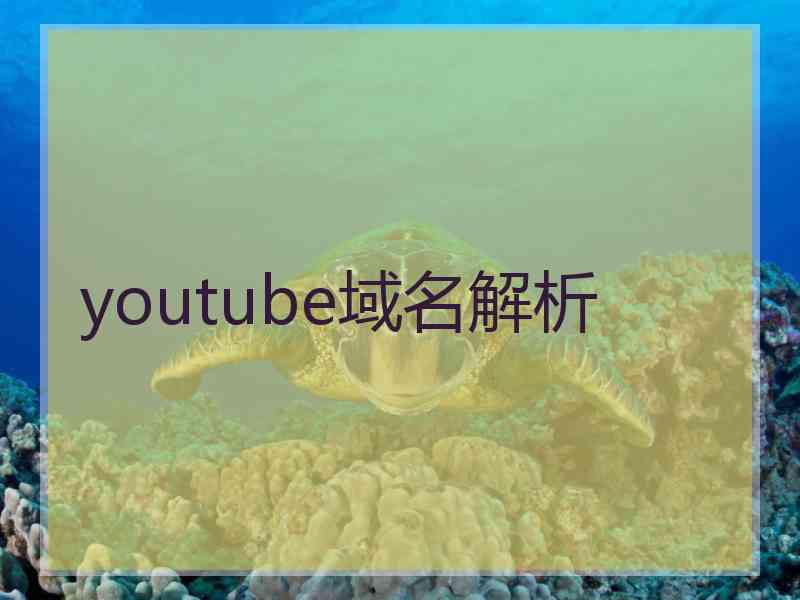 youtube域名解析