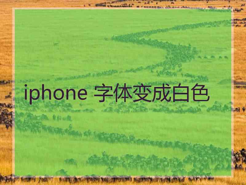 iphone 字体变成白色