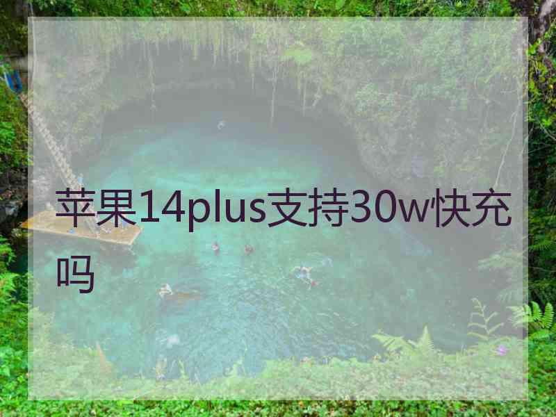 苹果14plus支持30w快充吗