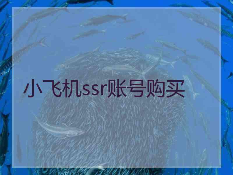 小飞机ssr账号购买