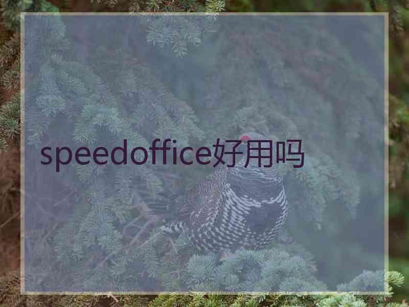 speedoffice好用吗