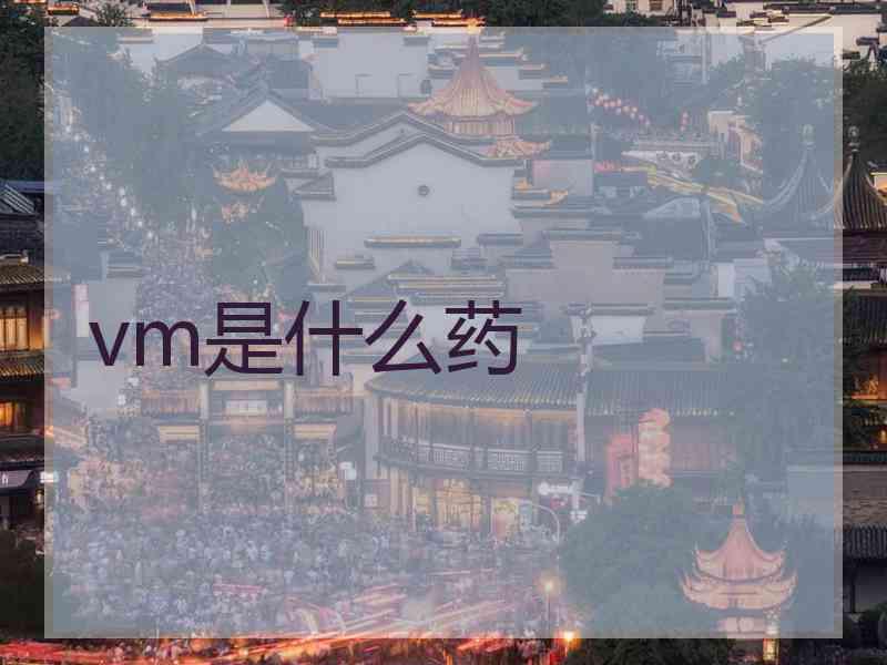 vm是什么药