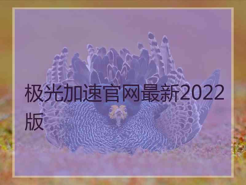 极光加速官网最新2022版