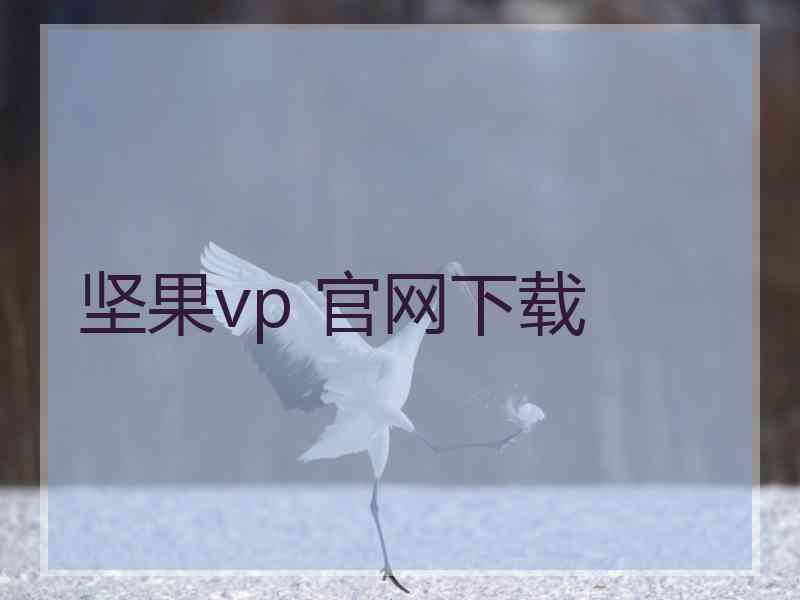 坚果vp 官网下载