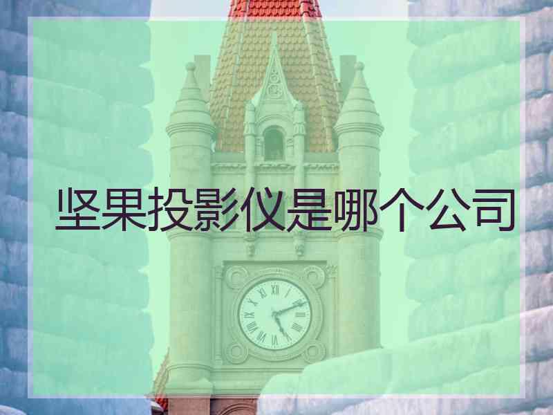 坚果投影仪是哪个公司