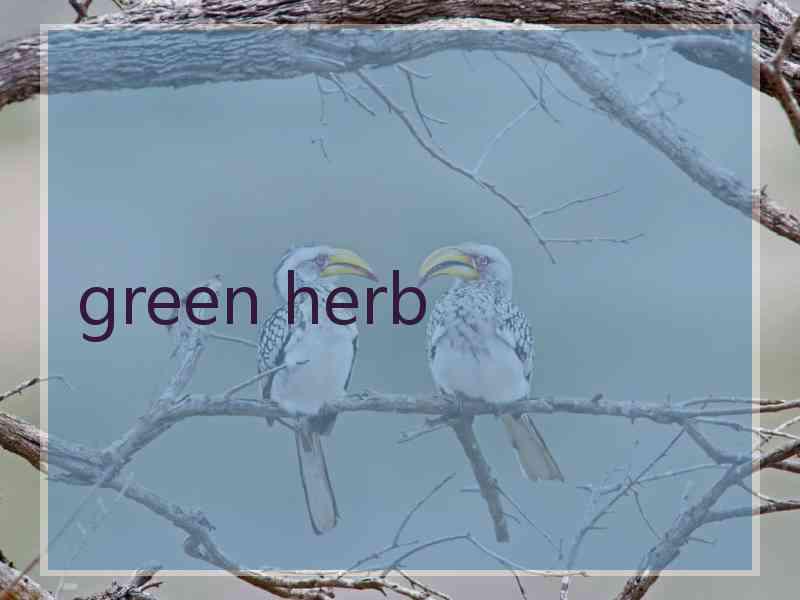 green herb