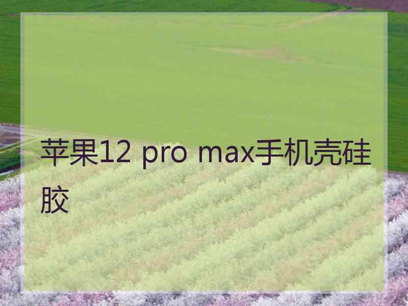 苹果12 pro max手机壳硅胶