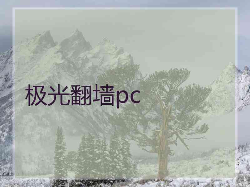 极光翻墙pc