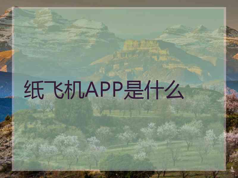 纸飞机APP是什么