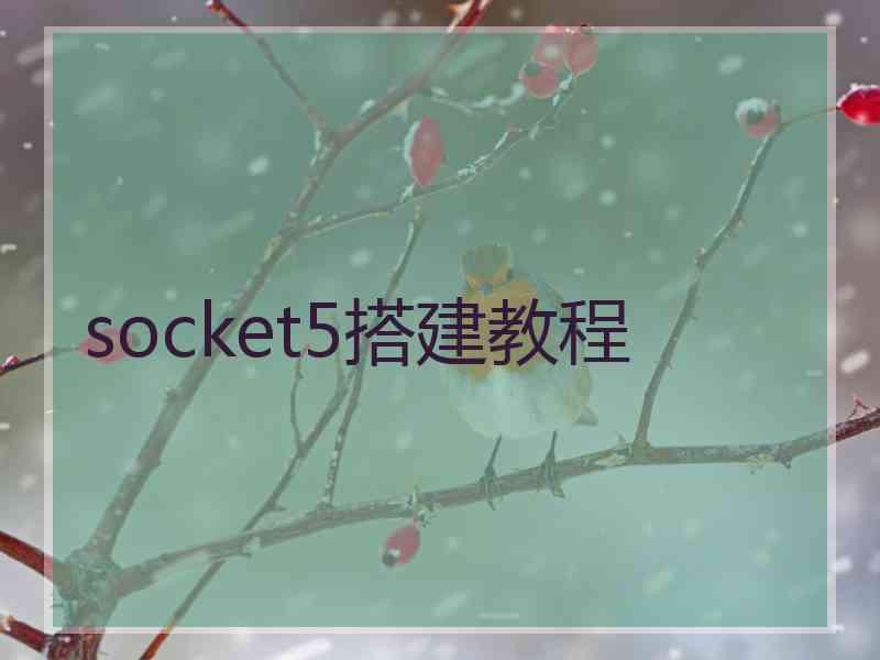 socket5搭建教程