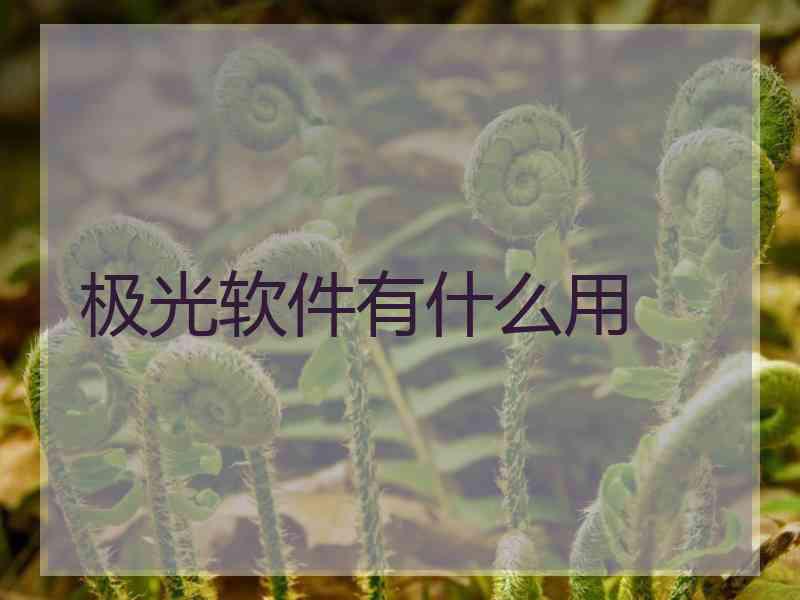 极光软件有什么用