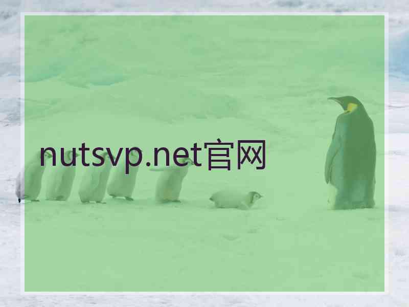 nutsvp.net官网