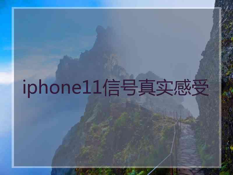 iphone11信号真实感受