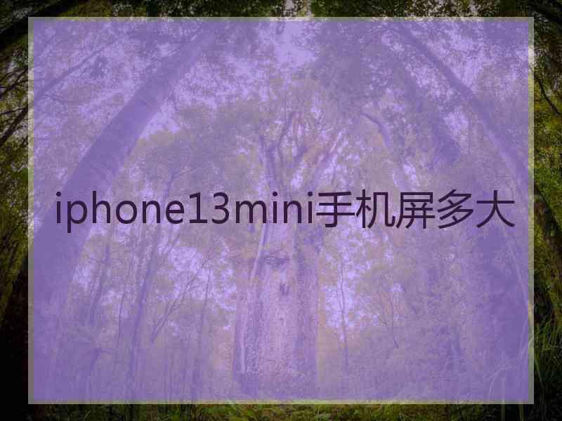 iphone13mini手机屏多大