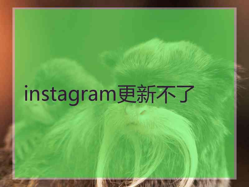 instagram更新不了