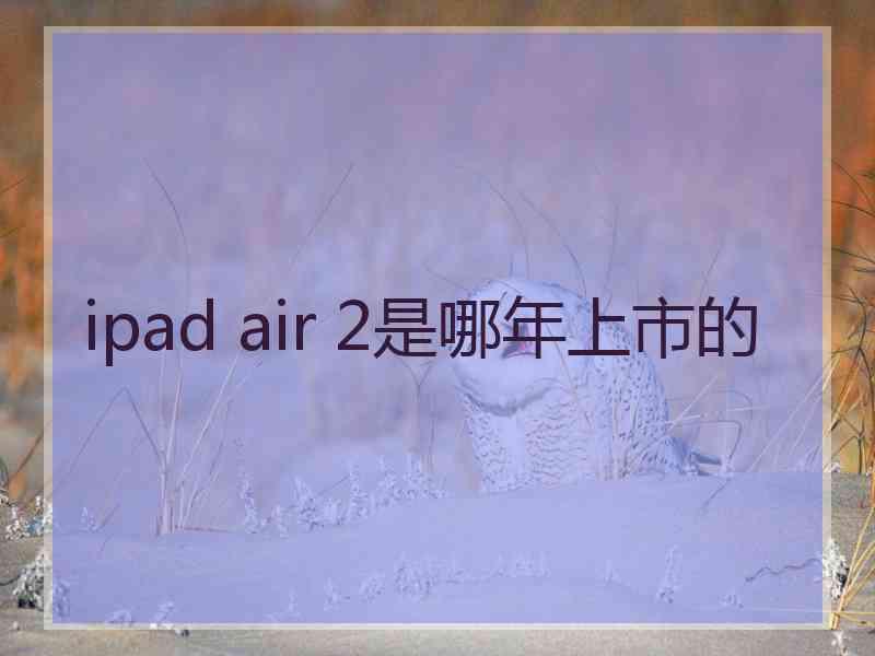 ipad air 2是哪年上市的