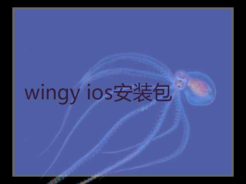 wingy ios安装包