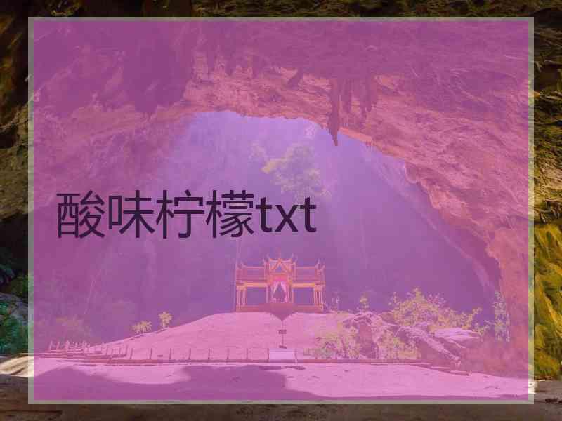 酸味柠檬txt