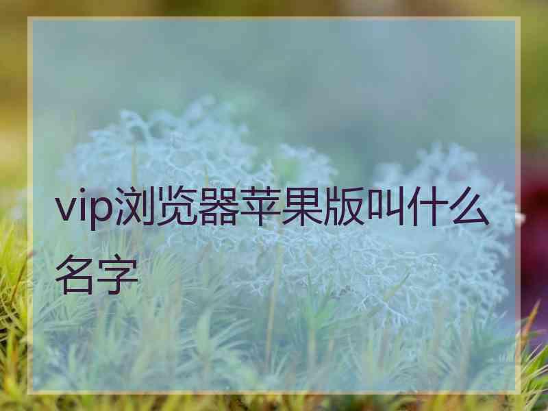 vip浏览器苹果版叫什么名字