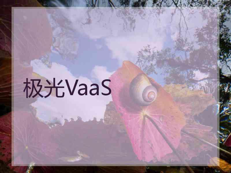 极光VaaS