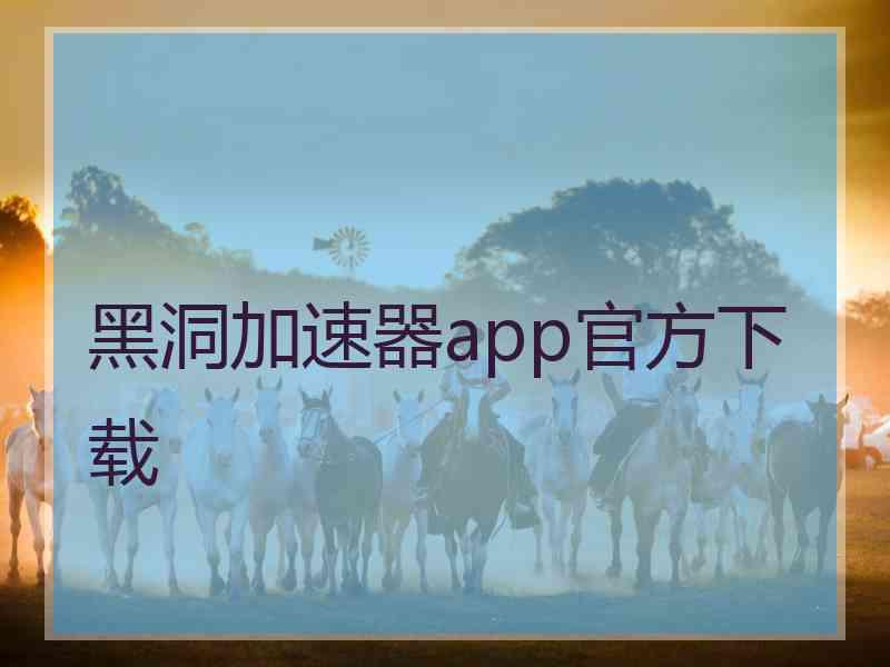 黑洞加速器app官方下载