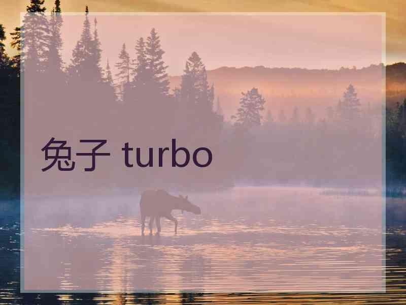 兔子 turbo