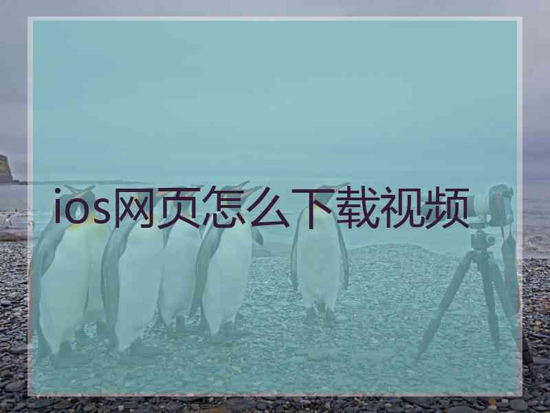 ios网页怎么下载视频