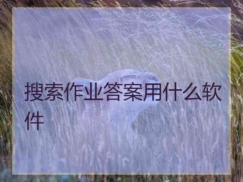 搜索作业答案用什么软件