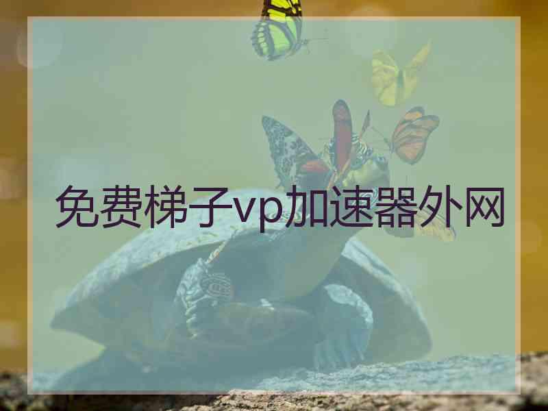 免费梯子vp加速器外网