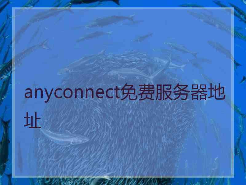 anyconnect免费服务器地址