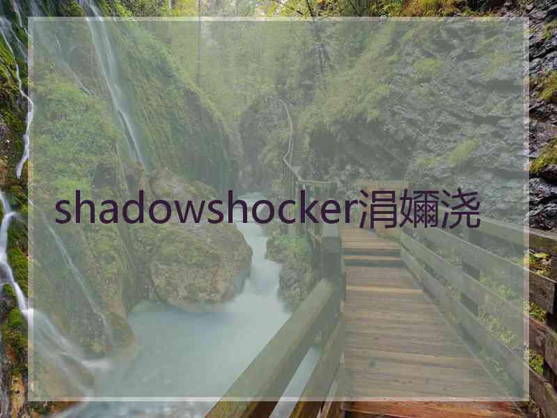 shadowshocker涓嬭浇