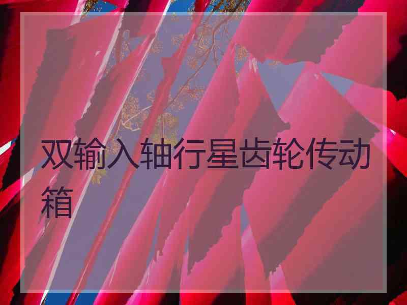 双输入轴行星齿轮传动箱