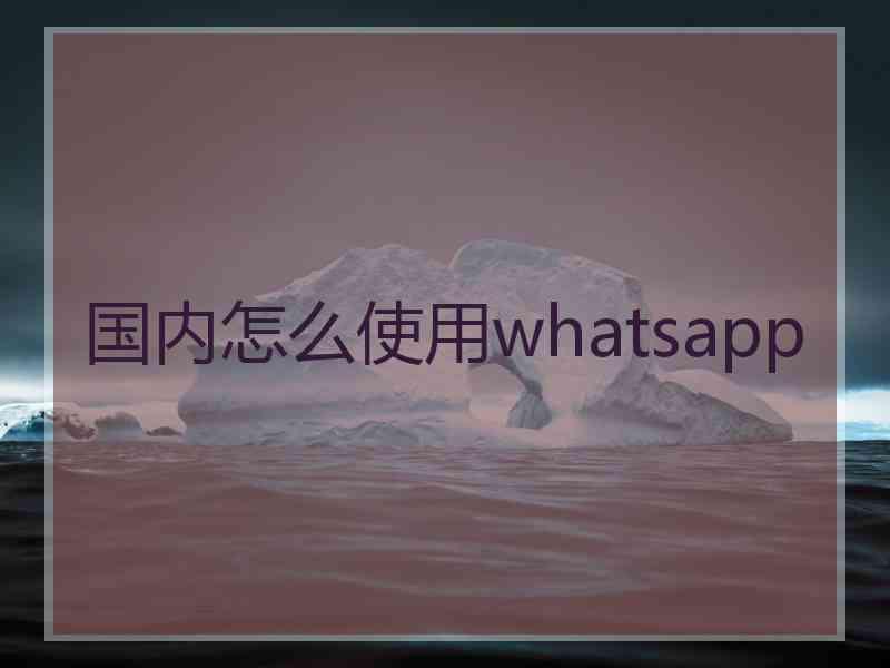 国内怎么使用whatsapp