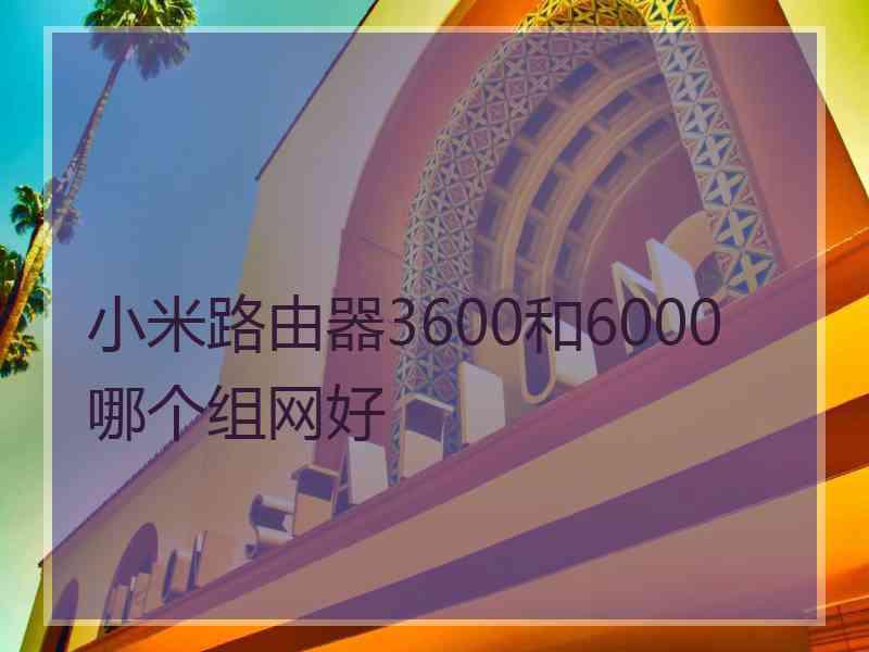 小米路由器3600和6000哪个组网好