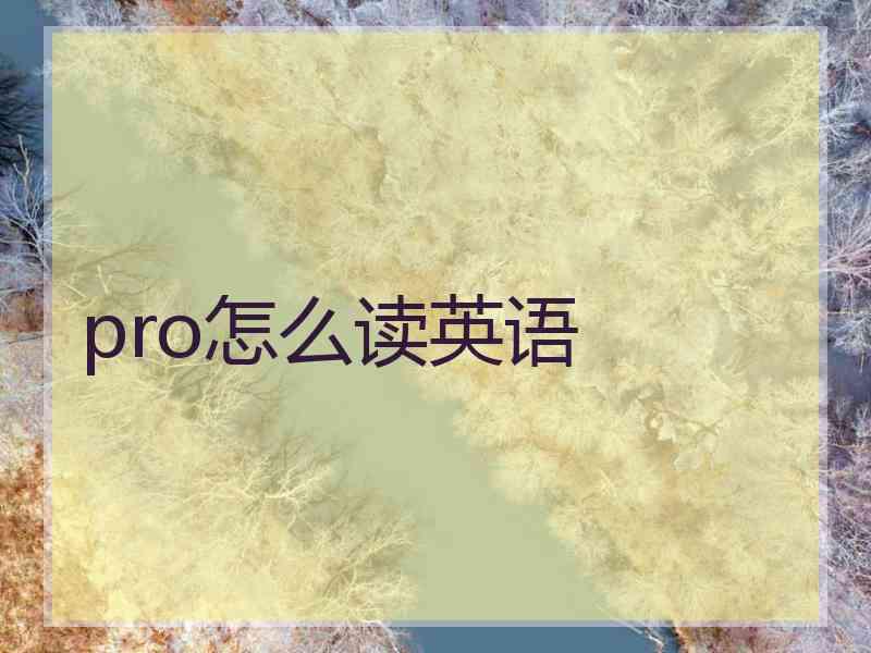 pro怎么读英语