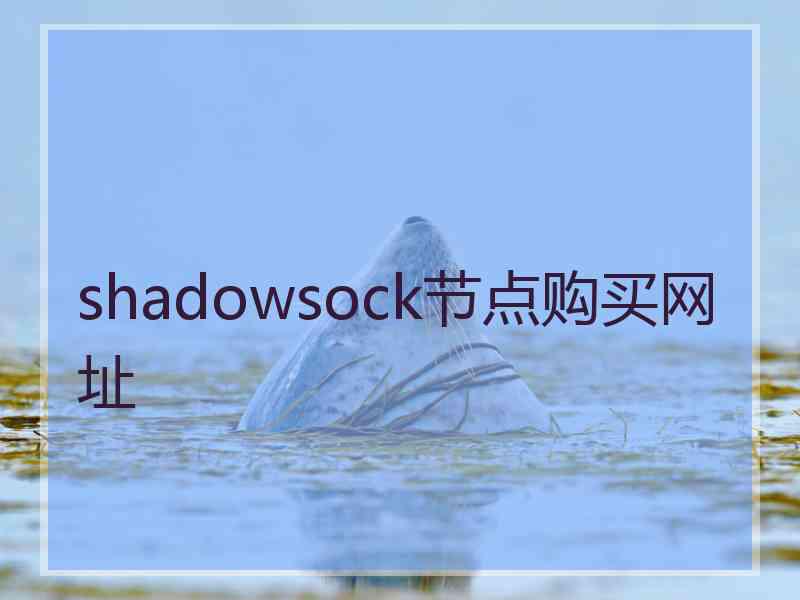 shadowsock节点购买网址