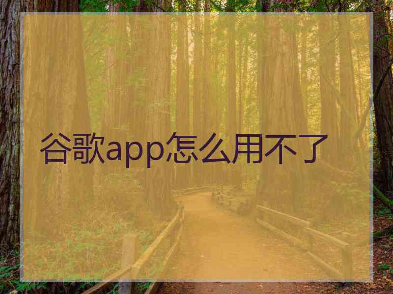 谷歌app怎么用不了